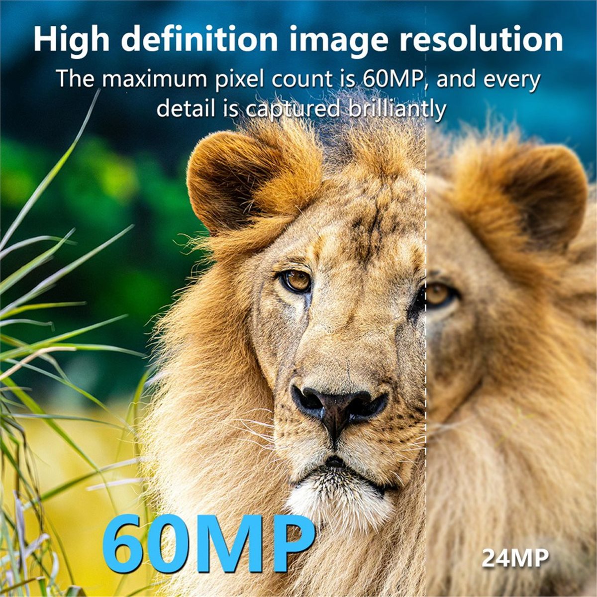 Outdoor Hunting Camera Wifi - AS62 8K Hunting Camera HD Wildlife