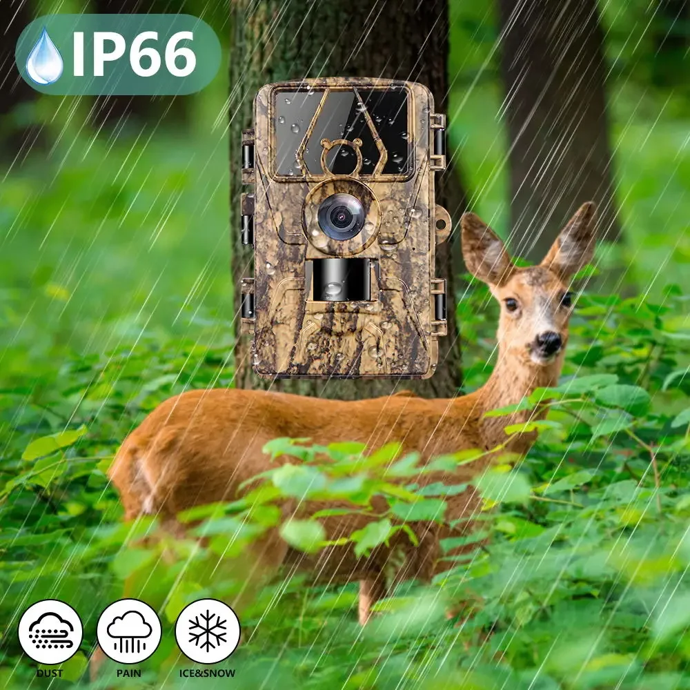 8K WiFi PR801W Waterproof Trai - Outdoor Hunting Camera Wifi review and price