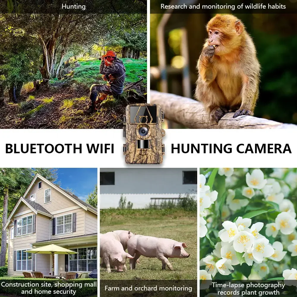 8K WiFi PR801W Waterproof Trai - Outdoor Hunting Camera Wifi review and price