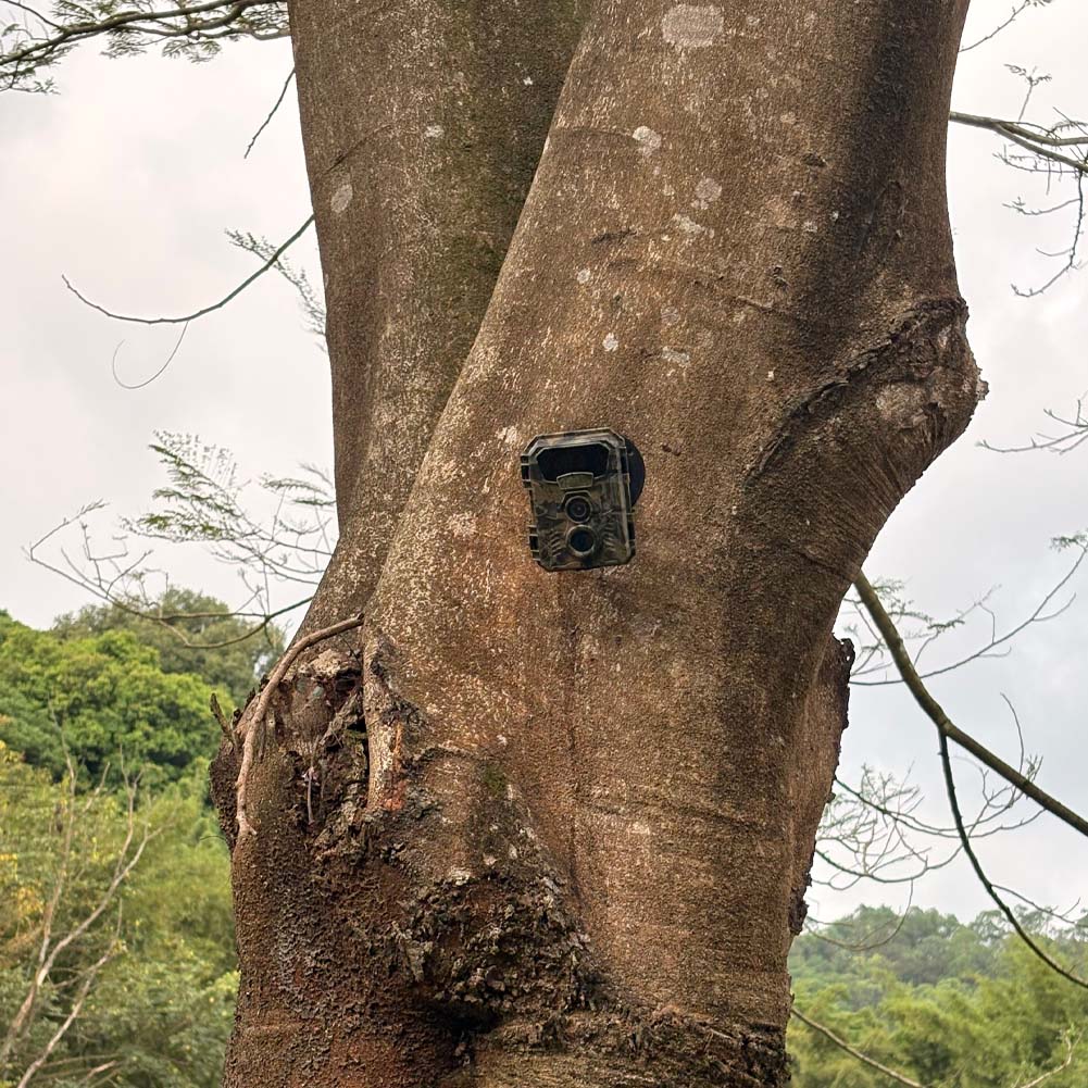 Hunting Trail Camera 16MP 1080 - Outdoor Hunting Video Camera review and price