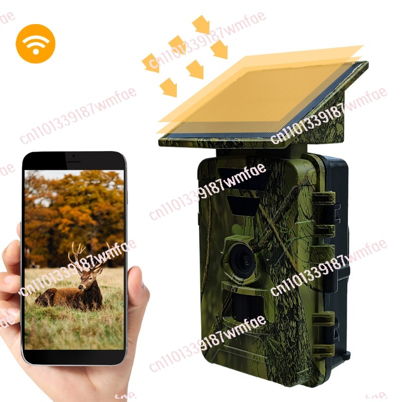 Wildlife Hunting Camera Solar  - Outdoor Hunting Camera Wifi review and price