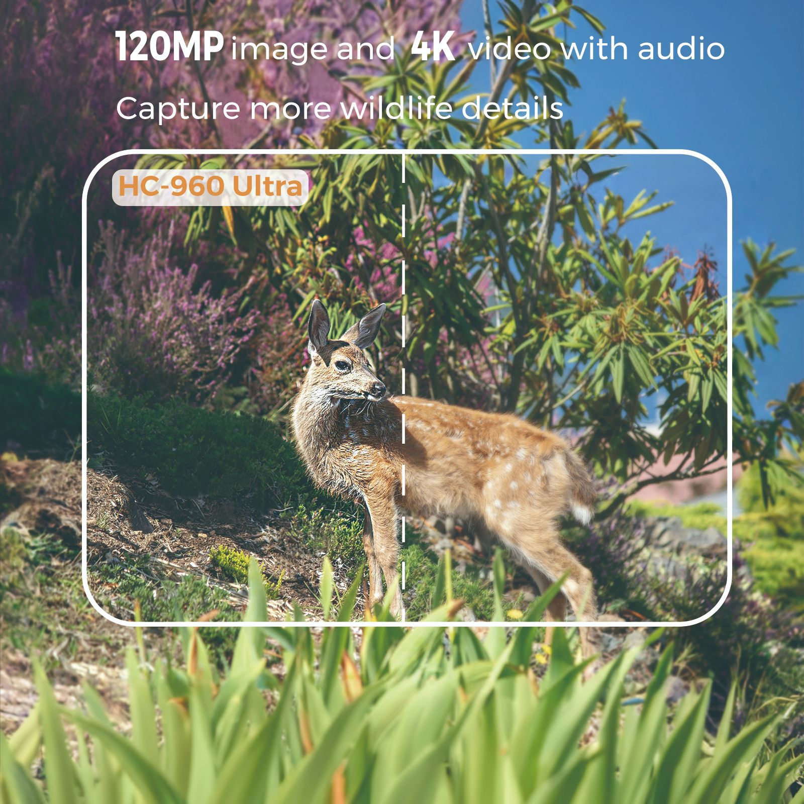Outdoor 4K Video 120MP Photo 4 - Outdoor Hunting Videos review and price