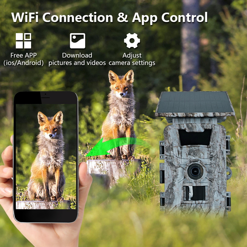 Solar WiFi 4K 60MP Hunting Cam - Outdoor Hunting Camera Wifi review and price