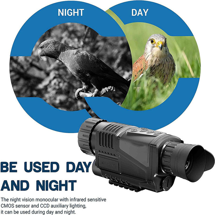 Low Light Night Vision Hunting - Outdoor Hunting Videos review and price