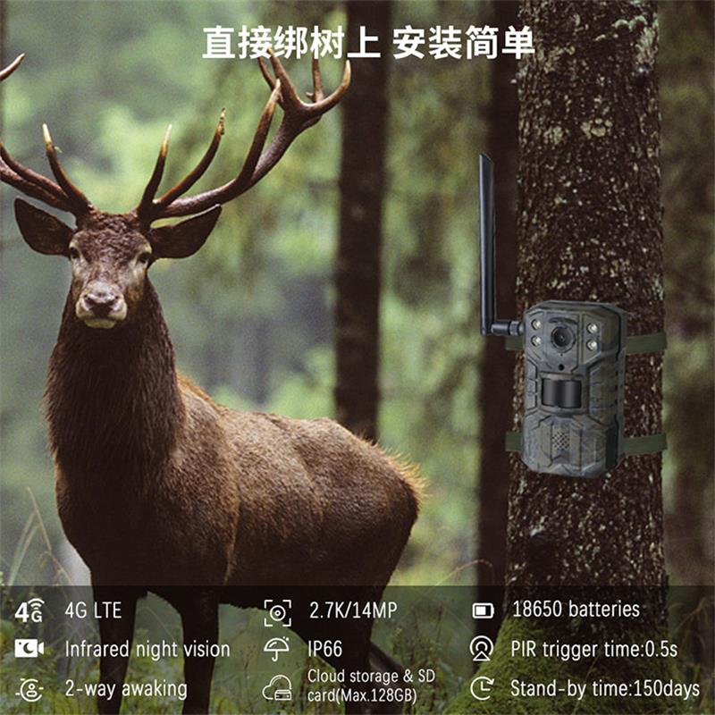 4G LTE Solar Hunting Trail Cam - Outdoor Hunting Video Camera review and price