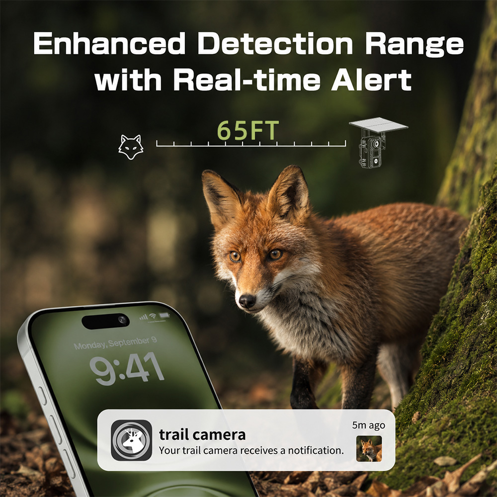 EU 4G Cellular 2K Battery Sola - Outdoor Hunting Video Camera review and price