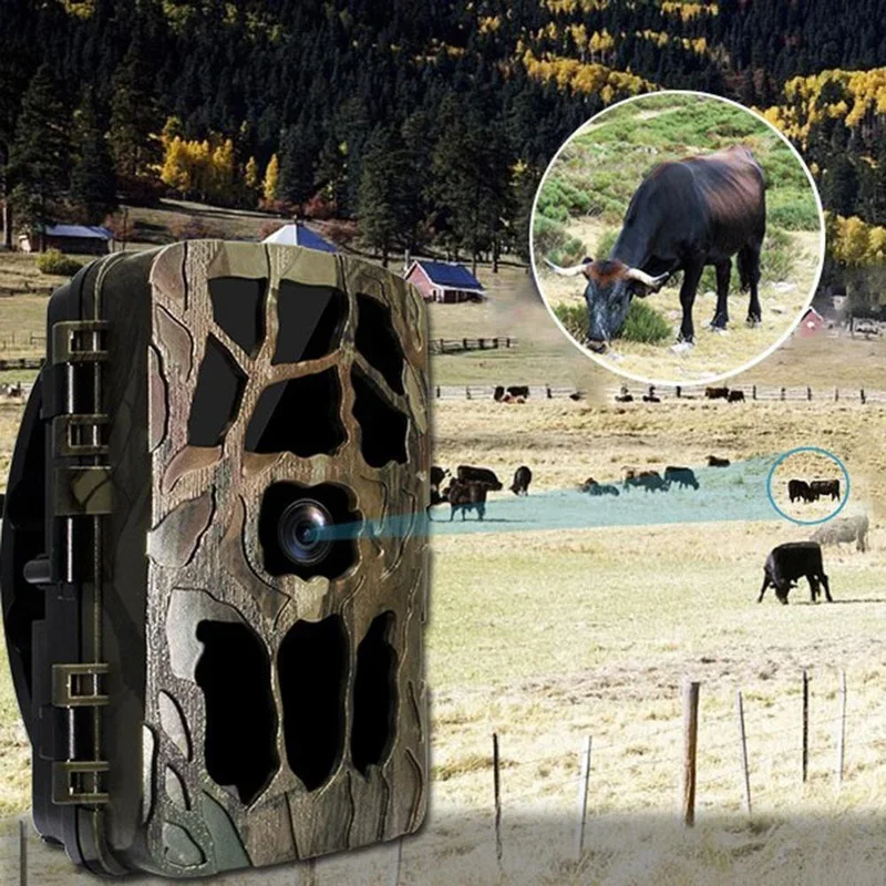 H982 IP66 Waterproof 4K Outdoo - Outdoor Hunting Videos review and price