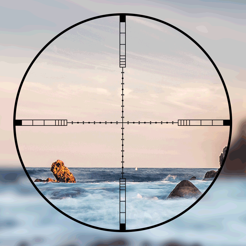 DIANA 4-16x44 Tactical Riflesc - Outdoor Hunting Lab review and price